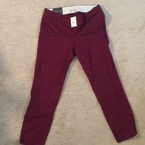 NWT JCrew Winnie pant size 6